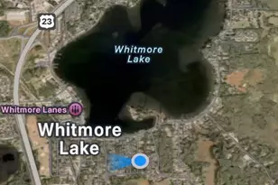 9070 Walnut Dr, Whitmore Lake, MI 48189 - Photo 33