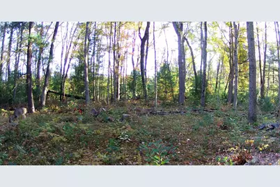 4393 E 8th Street, White Cloud, MI 49349 - Photo 73