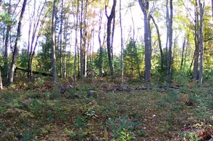 4393 E 8th St, White Cloud, MI 49349 - Photo 73