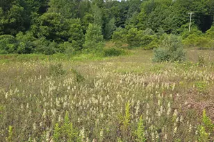N 72nd Ave, Hart, MI 49420 - Photo 1