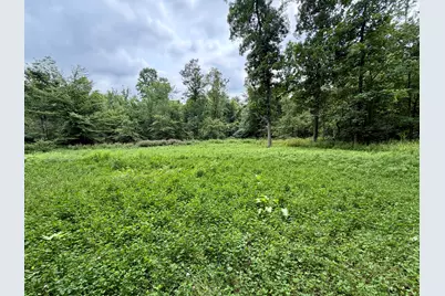 V/L Banfield Road, Battle Creek, MI 49017 - Photo 27