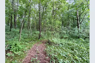 V/L Banfield Road, Battle Creek, MI 49017 - Photo 15