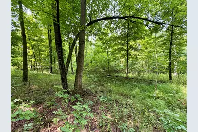 V/L Banfield Road, Battle Creek, MI 49017 - Photo 47