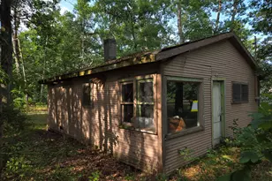290 E Decatur, Idlewild, MI 49642 - Photo 3
