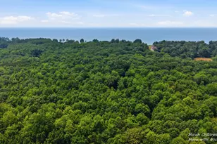6808 Tranquility Ln, Fennville, MI 49408 - Photo 9