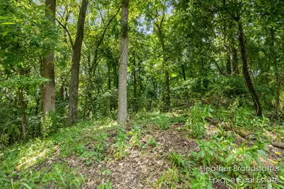 7670 Wood Violet Court SE, Ada, MI 49301 - Photo 5