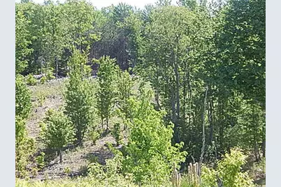 11500 W 14 Road, Mesick, MI 49668 - Photo 9