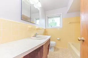 1517 Catalina Dr, Ann Arbor, MI 48103 - Photo 27