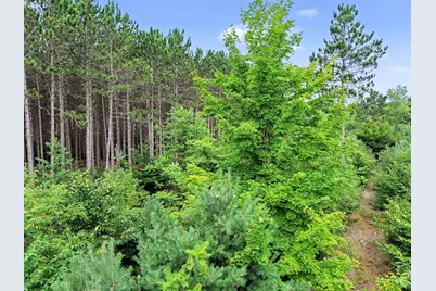 8732 Aylsworth Road, Benzonia, MI 49616 - Photo 5