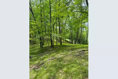 9711 Saint Ives Drive, Canadian Lakes, MI 49346 - Photo 1