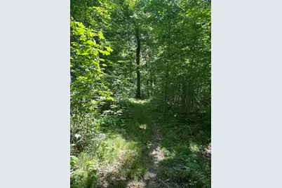Stuck Road, Marcellus, MI 49067 - Photo 19
