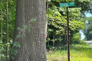 Stuck Rd, Marcellus, MI 49067 - Photo 1