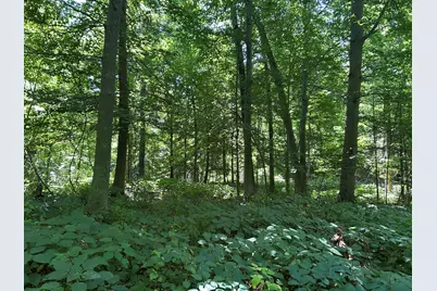 Stuck Road, Marcellus, MI 49067 - Photo 23