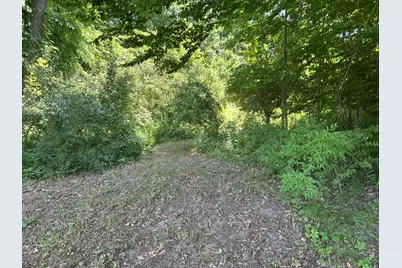 Stuck Road, Marcellus, MI 49067 - Photo 15