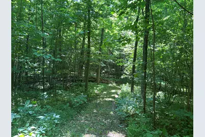 Stuck Road, Marcellus, MI 49067 - Photo 29