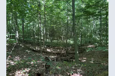 Stuck Road, Marcellus, MI 49067 - Photo 25