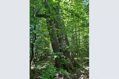 Stuck Road, Marcellus, MI 49067 - Photo 17