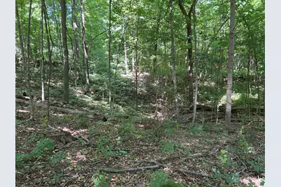 Stuck Road, Marcellus, MI 49067 - Photo 13