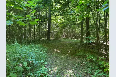 Stuck Road, Marcellus, MI 49067 - Photo 27