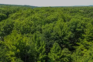 11775 Country Acres Dr, Interlochen, MI 49643 - Photo 19