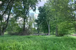 Brink Rd, Bronson, MI 49028 - Photo 1