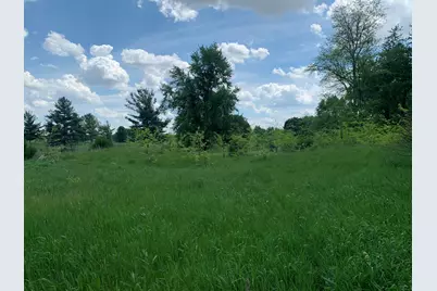 Brink Road, Bronson, MI 49028 - Photo 5