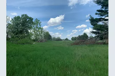 Brink Road, Bronson, MI 49028 - Photo 3