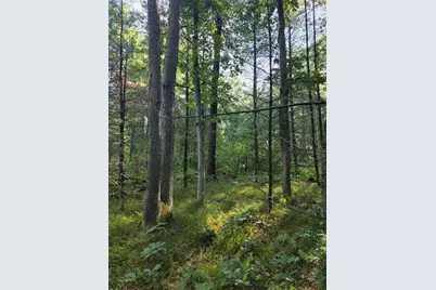 S Outaway Drive, Newaygo, MI 49337 - Photo 11