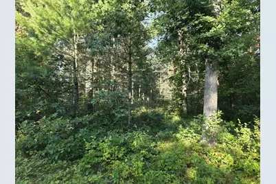 S Outaway Drive, Newaygo, MI 49337 - Photo 3