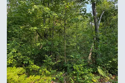 V/L E Jackson Street, White Cloud, MI 49349 - Photo 19