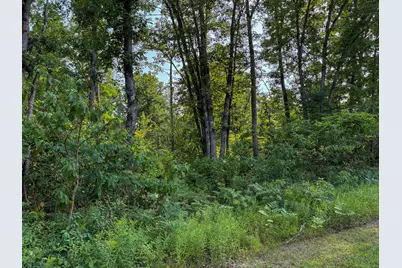 V/L E Jackson Street, White Cloud, MI 49349 - Photo 21