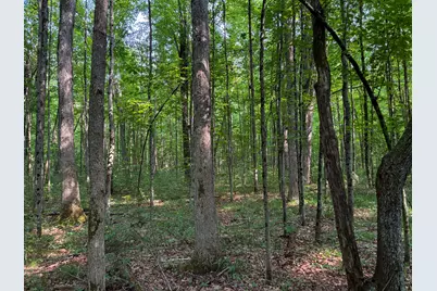 V/L E Jackson Street, White Cloud, MI 49349 - Photo 15