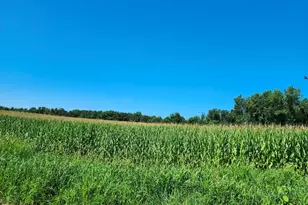 Root V/L Rd, Constantine, MI 49042 - Photo 1