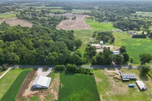 1166 N Long Rd, Pierson, MI 49339 - Photo 47