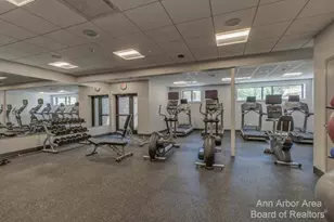 3239 Brackley Dr, Ann Arbor, MI 48105 - Photo 53