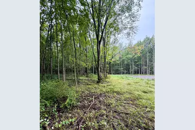 Lot 6 Christopher Lane, South Haven, MI 49090 - Photo 1
