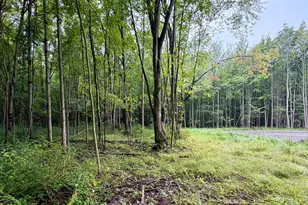 Lot 6 Christopher Ln, South Haven, MI 49090 - Photo 1