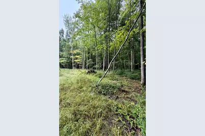 Lot 6 Christopher Lane, South Haven, MI 49090 - Photo 3