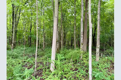 Lot 6 Christopher Lane, South Haven, MI 49090 - Photo 9