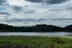 Vl Day Rd, Bellevue, MI 49021 - Photo 1