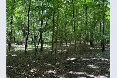 Lot 1 Christopher Lane, South Haven, MI 49090 - Photo 11