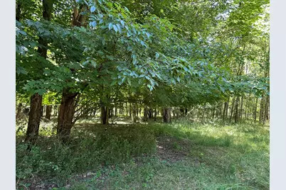 Lot 1 Christopher Lane, South Haven, MI 49090 - Photo 9