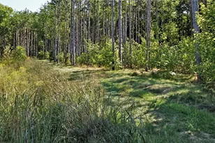 16381 Greenly St, Holland, MI 49424 - Photo 41