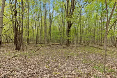 00 6th Avenue, Bloomingdale, MI 49026 - Photo 3