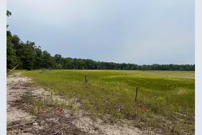 V/L Round Lake Drive #Parcel 17, Holton, MI 49425 - Photo 5