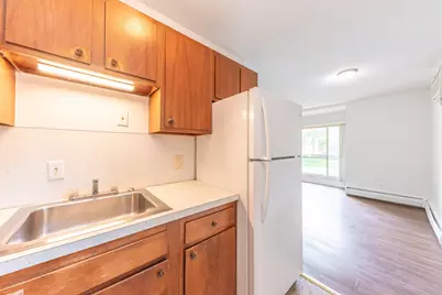 1310 Packard Street, Ann Arbor, MI 48104 - Photo 47