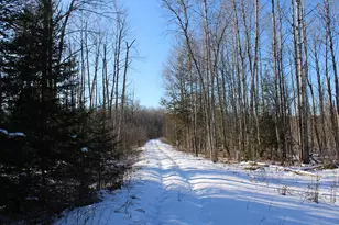 1710 Miller Rd, Lincoln, MI 48742 - Photo 59