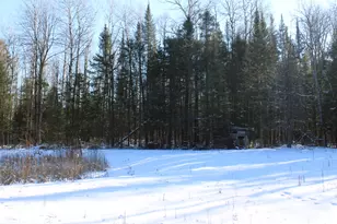 1710 Miller Rd, Lincoln, MI 48742 - Photo 63