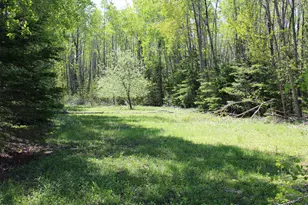 1710 Miller Rd, Lincoln, MI 48742 - Photo 43