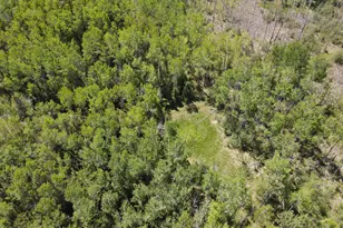 1710 Miller Rd, Lincoln, MI 48742 - Photo 31